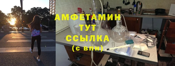 гидра Бородино